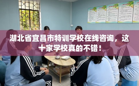 湖北省宜昌市特训学校在线咨询，这十家学校真的不错！