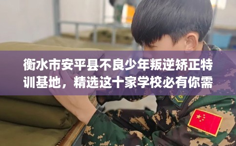 衡水市安平县不良少年叛逆矫正特训基地,精选这十家学校必有你需! 衡水市安平县不良少年叛逆矫正特训基地,精选这十家学校必有你需!