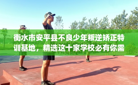 衡水市安平县不良少年叛逆矫正特训基地，精选这十家学校必有你需！