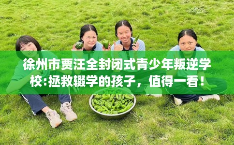 徐州市贾汪全封闭式青少年叛逆学校:拯救辍学的孩子,值得一看! 徐州市贾汪全封闭式青少年叛逆学校:拯救辍学的孩子,值得一看!