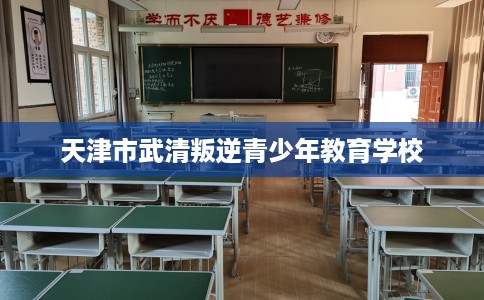 天津市武清叛逆青少年教育学校 天津市武清叛逆青少年教育学校