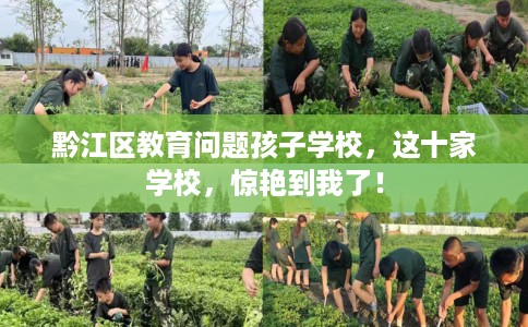 黔江区教育问题孩子学校，这十家学校，惊艳到我了！