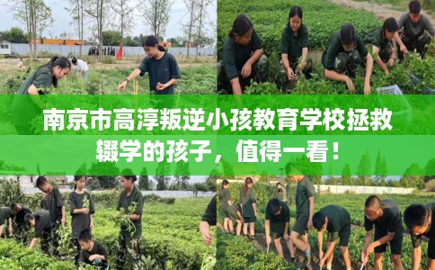 南京市高淳叛逆小孩教育学校拯救辍学的孩子,值得一看! 南京市高淳叛逆小孩教育学校拯救辍学的孩子,值得一看!