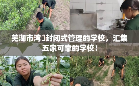 芜湖市湾沚封闭式管理的学校，汇集五家可靠的学校！