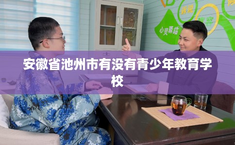 安徽省池州市有没有青少年教育学校