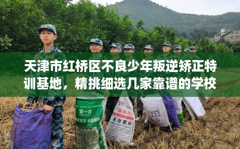 天津市红桥区不良少年叛逆矫正特训基地，精挑细选几家靠谱的学校！