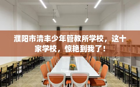 濮阳市清丰少年管教所学校，这十家学校，惊艳到我了！