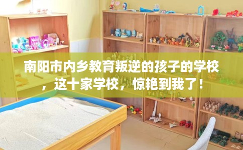 南阳市内乡教育叛逆的孩子的学校，这十家学校，惊艳到我了！