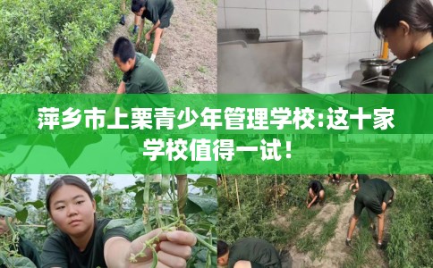 萍乡市上栗青少年管理学校:这十家学校值得一试! 萍乡市上栗青少年管理学校:这十家学校值得一试!