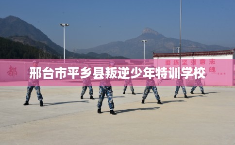 邢台市平乡县叛逆少年特训学校 邢台市平乡县叛逆少年特训学校