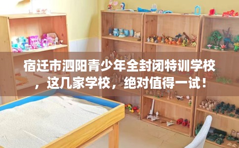 宿迁市泗阳青少年全封闭特训学校,这几家学校,绝对值得一试! 宿迁市泗阳青少年全封闭特训学校,这几家学校,绝对值得一试!