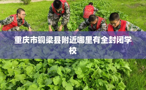 重庆市铜梁县附近哪里有全封闭学校 重庆市铜梁县附近哪里有全封闭学校