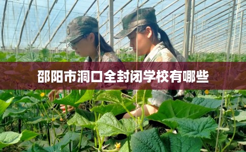 邵阳市洞口全封闭学校有哪些