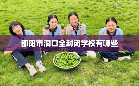 邵阳市洞口全封闭学校有哪些