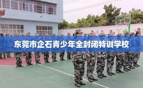 东莞市企石青少年全封闭特训学校