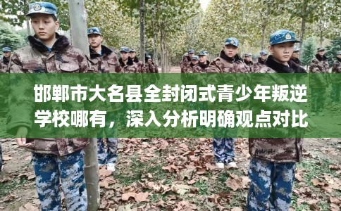邯郸市大名县全封闭式青少年叛逆学校哪有,深入分析明确观点对比! 邯郸市大名县全封闭式青少年叛逆学校哪有,深入分析明确观点对比!