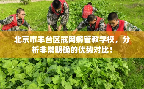 北京市丰台区戒网瘾管教学校,分析非常明确的优势对比! 北京市丰台区戒网瘾管教学校,分析非常明确的优势对比!