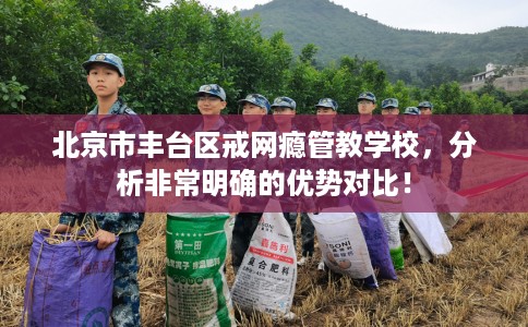 北京市丰台区戒网瘾管教学校,分析非常明确的优势对比! 北京市丰台区戒网瘾管教学校,分析非常明确的优势对比!