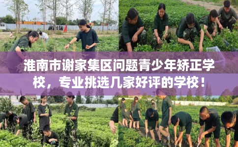 淮南市谢家集区问题青少年矫正学校，专业挑选几家好评的学校！