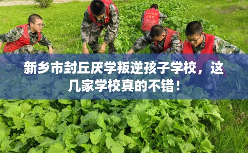 新乡市封丘厌学叛逆孩子学校，这几家学校真的不错！