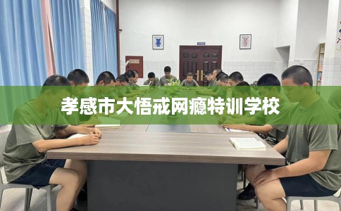 孝感市大悟戒网瘾特训学校