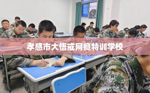 孝感市大悟戒网瘾特训学校