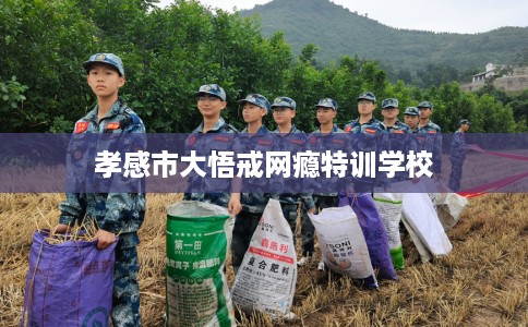 孝感市大悟戒网瘾特训学校