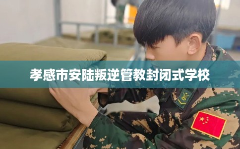 孝感市安陆叛逆管教封闭式学校