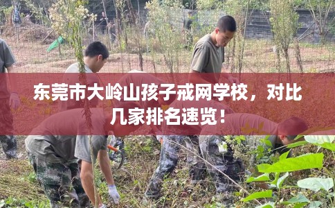 东莞市大岭山孩子戒网学校,对比几家排名速览! 东莞市大岭山孩子戒网学校,对比几家排名速览!
