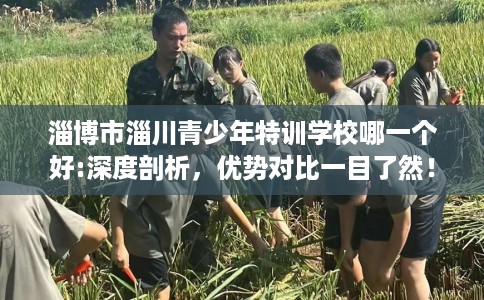 淄博市淄川青少年特训学校哪一个好:深度剖析，优势对比一目了然！