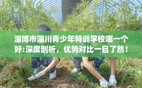 淄博市淄川青少年特训学校哪一个好:深度剖析，优势对比一目了然！