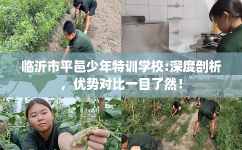 临沂市平邑少年特训学校:深度剖析，优势对比一目了然！