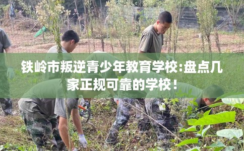 铁岭市叛逆青少年教育学校:盘点几家正规可靠的学校！