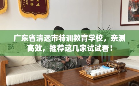 广东省清远市特训教育学校，亲测高效，推荐这几家试试看！