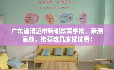 广东省清远市特训教育学校，亲测高效，推荐这几家试试看！