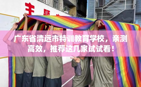 广东省清远市特训教育学校，亲测高效，推荐这几家试试看！