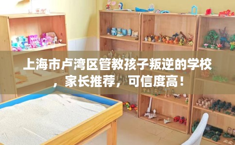 上海市卢湾区管教孩子叛逆的学校,家长推荐,可信度高! 上海市卢湾区管教孩子叛逆的学校,家长推荐,可信度高!