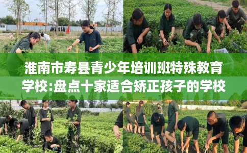 淮南市寿县青少年培训班特殊教育学校:盘点十家适合矫正孩子的学校！