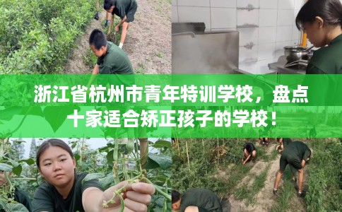 浙江省杭州市青年特训学校,盘点十家适合矫正孩子的学校! 浙江省杭州市青年特训学校,盘点十家适合矫正孩子的学校!