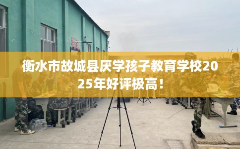 衡水市故城县厌学孩子教育学校2025年好评极高! 衡水市故城县厌学孩子教育学校2025年好评极高!