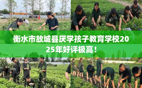 衡水市故城县厌学孩子教育学校2025年好评极高！