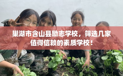 巢湖市含山县励志学校，筛选几家值得信赖的素质学校！