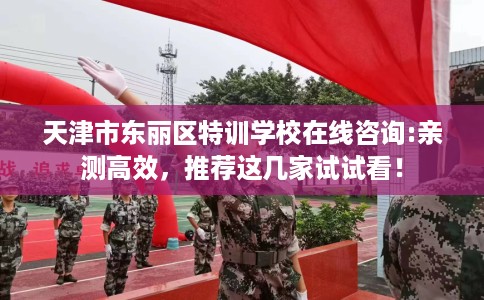 天津市东丽区特训学校在线咨询:亲测高效，推荐这几家试试看！