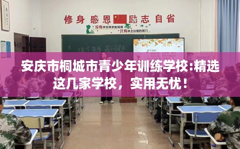 安庆市桐城市青少年训练学校:精选这几家学校，实用无忧！