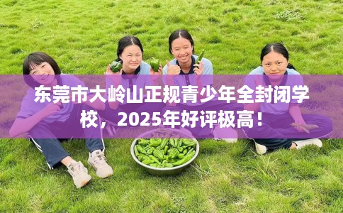 东莞市大岭山正规青少年全封闭学校，2025年好评极高！