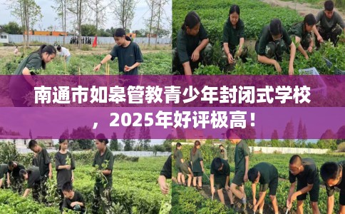 南通市如皋管教青少年封闭式学校，2025年好评极高！