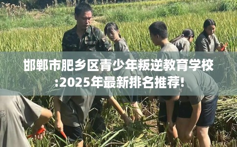 邯郸市肥乡区青少年叛逆教育学校:2025年最新排名推荐!