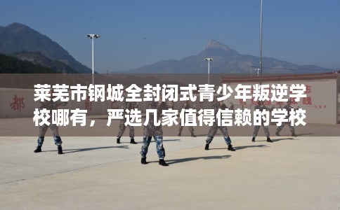 莱芜市钢城全封闭式青少年叛逆学校哪有，严选几家值得信赖的学校！