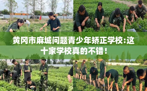 黄冈市麻城问题青少年矫正学校:这十家学校真的不错！