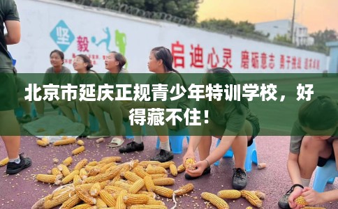 北京市延庆正规青少年特训学校，好得藏不住！